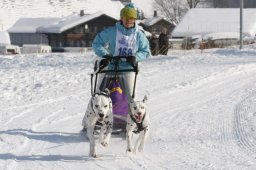 Lenk 2012 SM